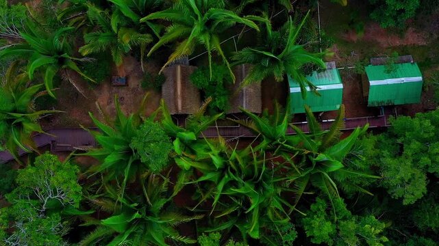 Traditionelle Holzh&auml;user im Amazonas &ndash; Luftaufnahme vom Rio Juma in Brasilien. Versteckt im Urwald 1