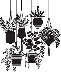 Naklejka premium Black silhouette hanging houseplants on white background