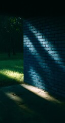 Sunlight casting dramatic shadows on a blue brick wall at the edge of a quiet forest