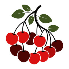 vector illustration of cherries