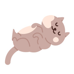 Cute Doodle Cat Sleeping Illustration