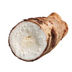 Close up of a cross section of a fresh ginger root with its fibrous texture and earthy brown skin isolated on transparent background