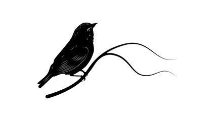 Maui Akepa bird, black isolated silhouette