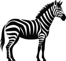 White-isolated cartoon zebra vector illustration with a standing wild animal striped pattern silhouette