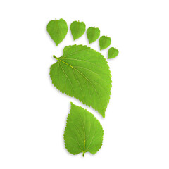 green leaf growing footprints, co2 symbol isolated on White Background. Reduce CO2 emission concept.Clean and friendly environment without carbon dioxide emissions.