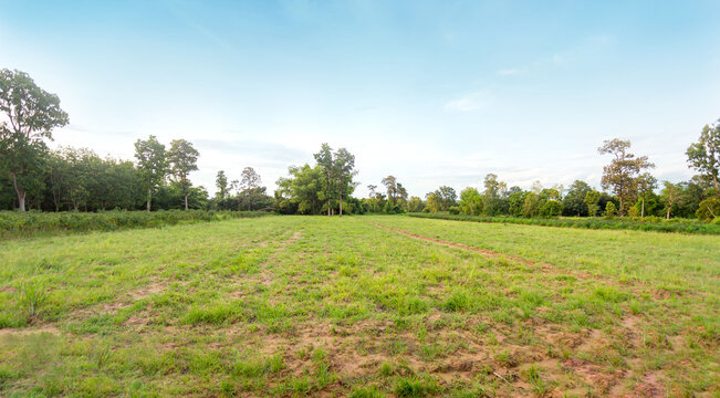 Fototapeta Empty dry cracked swamp reclamation soil, land plot for housing construction Green meadow, beautiful views and beautiful blue sky with fresh air Land for sales landscape concept.