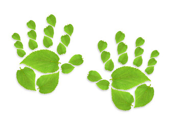 Green leaf growing handprint, isolated on White Background. Reduce CO2 emission concept. World Environment Day concept with cooperation to plant trees to reduce global warming. Sustainable environment