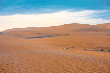 Sand dunes stretching under overcast sky. Serene desert landscape, with gentle slopes and subtle ripples in the sand. Panoramic view of the desert