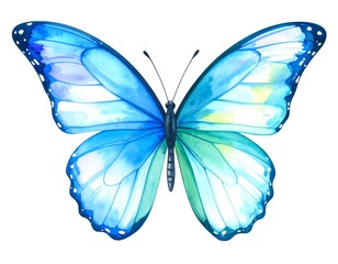 Obraz premium Watercolor Butterfly Illustration with Delicate Blue and Green Wings on White