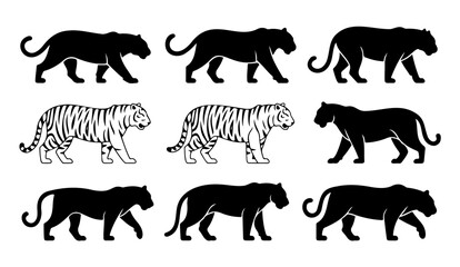 Tiger Silhouette and Stripe Pattern Vector Set Big Cat Walking Profile Graphics
