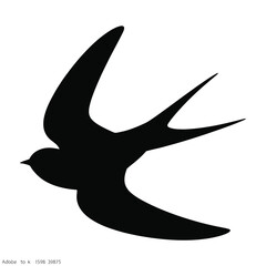Silhouette of a swift bird in flight with forked tail