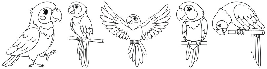 Cute parrot line art illustration set for coloring pages featuring different poses of parrots on branches and flying, perfect for kids coloring book and art design projects