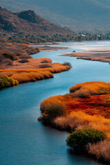 vibrant delta estuary in saint kitts and nevis at high noon captures essence of its rich ecosystem