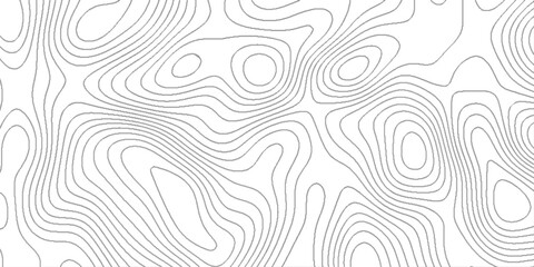 Topographic contour lines map seamless pattern, vector natural shadow papercut web topography map spiral line, pattern shape in organic wood on white and transparent background. © world war 5