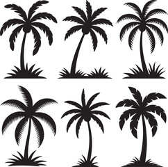Fototapeta premium Silhouette Set of Palm Trees and Tropical Grass – Exotic Vector Plants Isolated on WhiteSilhouette Set of Palm Trees and Tropical Grass – Exotic Vector Plants Isolated on White