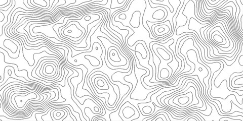 Abstract topographic map, White wave paper curved reliefs abstract background, topographic map pattern simple lines flat graphic design, white landscape with mountains and hills.