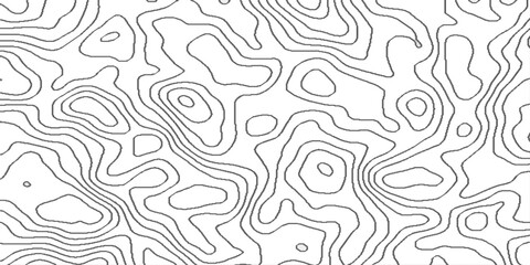 Topographic contour lines map seamless pattern, vector natural shadow papercut web topography map spiral line, pattern shape in organic wood on white and transparent background.