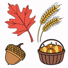 Autumn harvest symbols oak leaf acorn wheat and pumpkins vector
