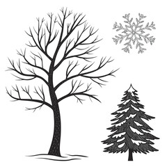 Bare deciduous tree snowy evergreen tree snowflake winter trees