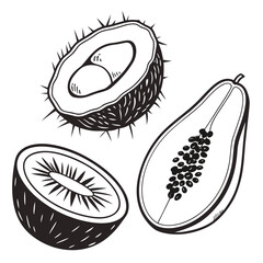 Black and white outline illustrations of tropical fruits kiwi papaya