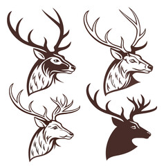 Majestic deer heads with elaborate antlers stag animal