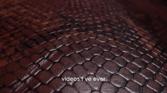 Captivating close-up of luxurious brown snakeskin texture, showcasing intricate patterns and rich detail for fashion and design projects.