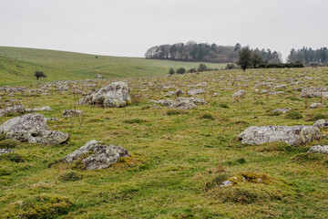 Fyfield Down with the best collection of sarsen stones in Britain, Wiltshire