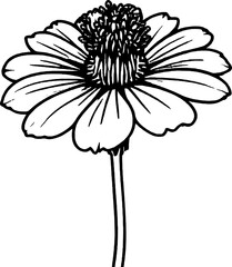 Detailed Black And White Line Drawing Depicting a Single Daisy on Plain White Field