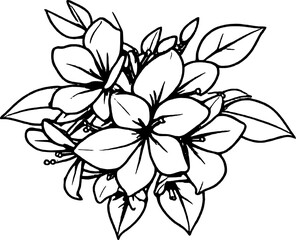 Fototapeta premium Elegant Floral Arrangement: Detailed Black and White Outline of Petals and Leaves