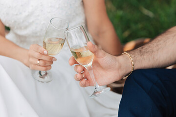 A couple toasting with champagne glasses on a picnic blanket in a grassy outdoor setting.