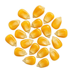 Fototapeta premium Scattered kernels of yellow popcorn on surface isolated transparent background