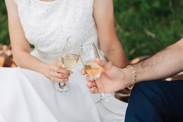 A couple toasting with champagne glasses on a picnic blanket in a grassy outdoor setting.