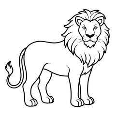 lion vector illustration