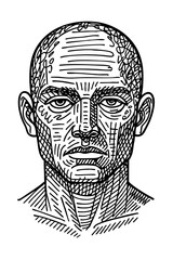 Intense Bald Man's Face Sketch