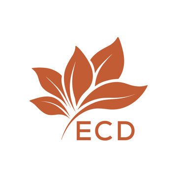ECD Elegant Minimal Leaf Logo Design, ECD Later Logo, Botanical Nature Logo with Text, Clean Botanical Logo Design, Natural Organic Leaf Badge
