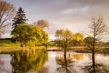 Guy Roe Reserve, Lake Rerewhakaaitu, Rotorua, New Zealand, in beautiful early morning light.