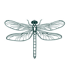 A vibrant green dragonfly vector illustration, an isolated insect with delicate wings, captures the fragility and beauty of nature in a stunning macro close-up