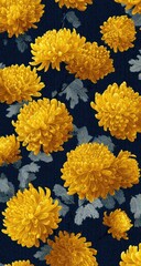 Yellow chrysanthemum blossoms on a dark navy background
