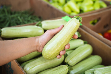 Close-up of hand holding fresh green zucchini against cardboard box with vegetables at local farmers market outdoors in daylight background, organic harvest, healthy food and seasonal produce