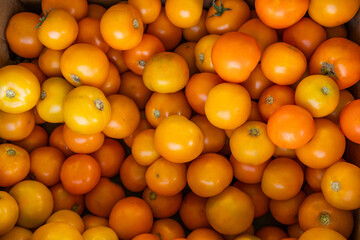 Top view of fresh vibrant yellow cherry tomatoes at local farmers market outdoors in daylight, organic vegetable at supermarket, healthy food and seasonal produce concept