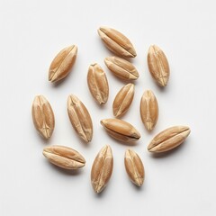Obraz premium Spelt grains isolated on pure white background