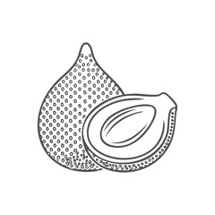 Line Illustration of a Whole and Half Snake Fruit (Salak) - AI Generated