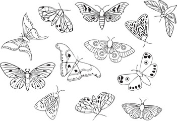 A set of seamless butterflies isolated vector line art