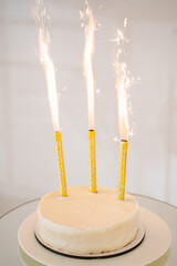 Festive cake with sparklers celebrating a special occasion in a bright setting