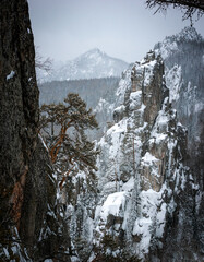 winter landscape with snow-covered taiga, Russia