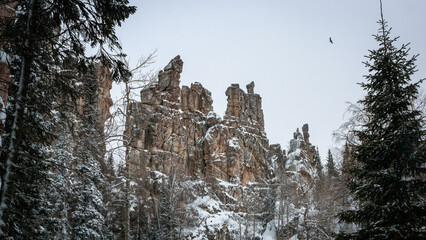 winter landscape with snow-covered taiga, Russia