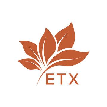 ETX Elegant Minimal Leaf Logo Design, ETX Later Logo, Botanical Nature Logo with Text, Clean Botanical Logo Design, Natural Organic Leaf Badge
