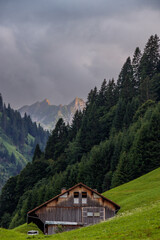 Obraz premium wooden shed with a beautiful background, pine forest and alpine mountains