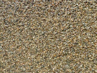 wet golden brown beach sand with multicolored mineral grains in sunlight ideal for texture design, background, or print use

