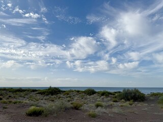 coastal desert landscape under wispy cirrus clouds with sparse green shrubs and blue sea horizon...